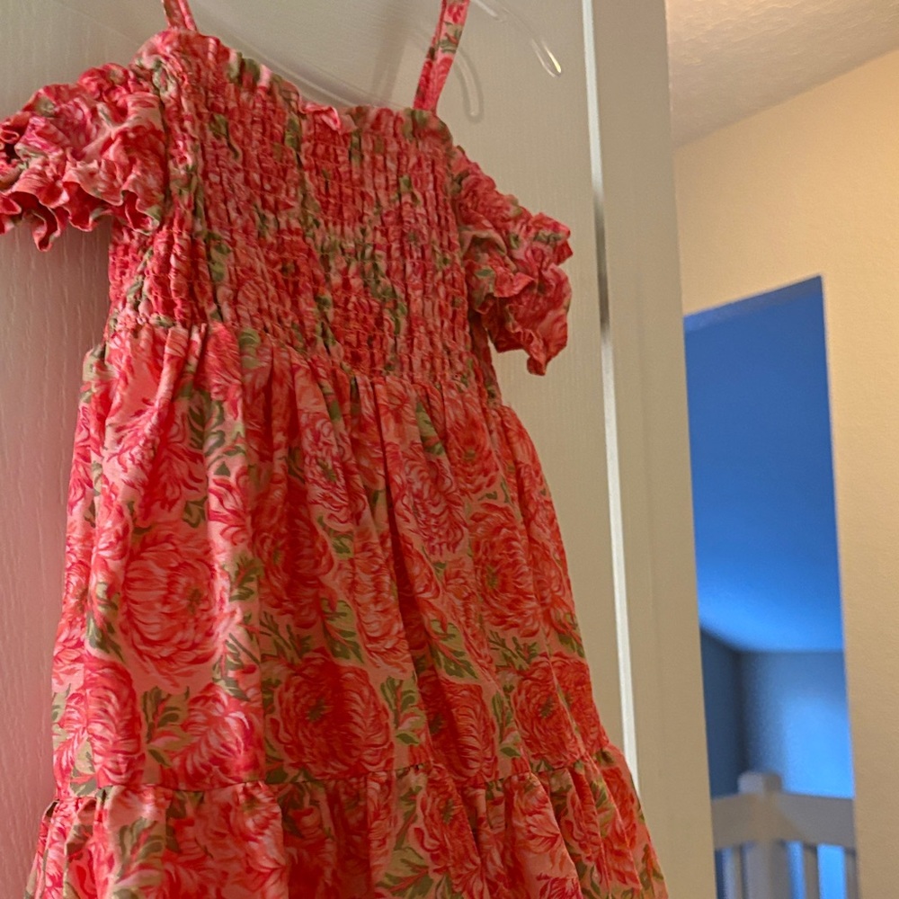 Haute Hippie Kids Floral Dress in Pink and Green